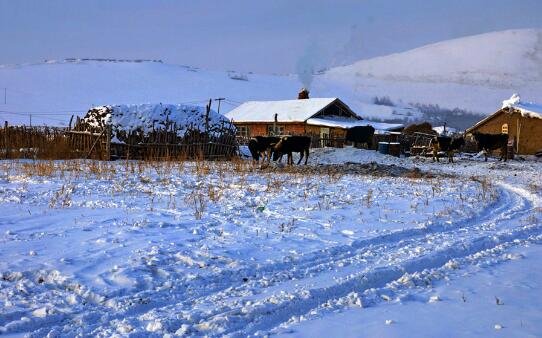 内蒙古一地供暖，供暖期长达9个月，当地的天气有多冷？
