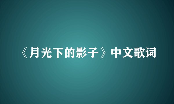 《月光下的影子》中文歌词