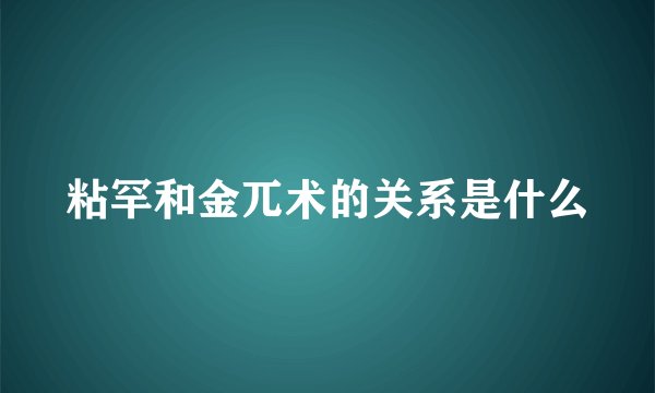 粘罕和金兀术的关系是什么