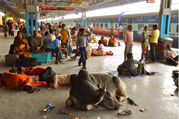 印度约3000人确诊新冠后失踪，这些人都去了哪里？