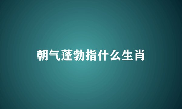 朝气蓬勃指什么生肖