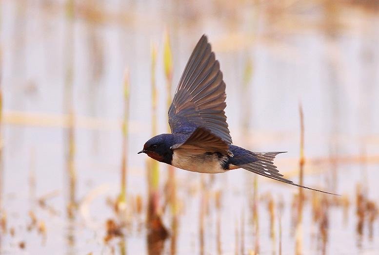 和气象有关的农谚
