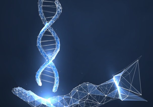 植物为何可以活上千年，它们的长寿秘诀是什么？