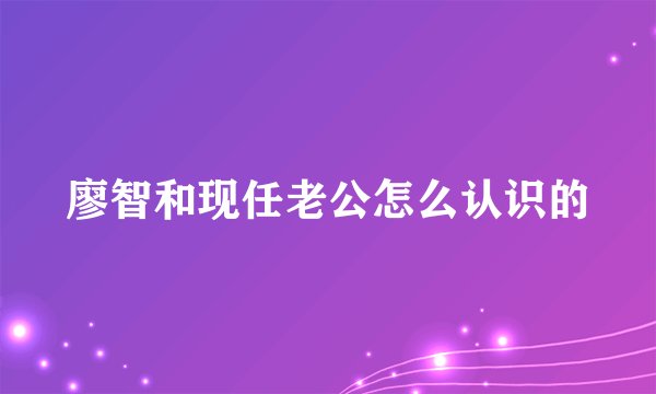 廖智和现任老公怎么认识的