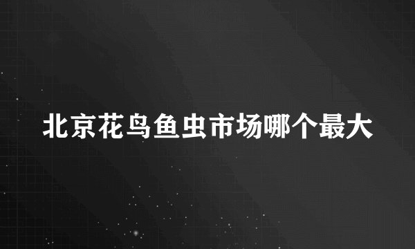 北京花鸟鱼虫市场哪个最大
