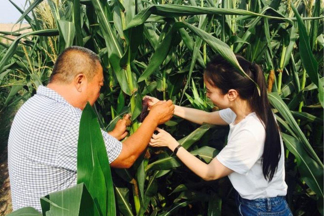 大学生当村官需要满足什么条件