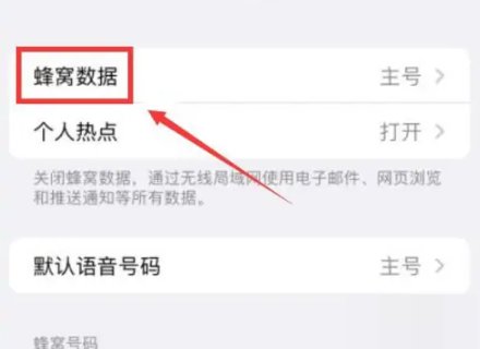 苹果手机数据网络怎么打开