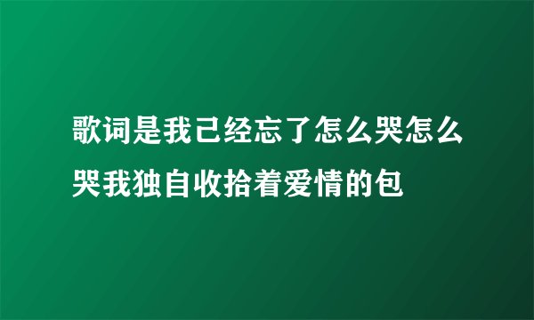 歌词是我己经忘了怎么哭怎么哭我独自收拾着爱情的包袝