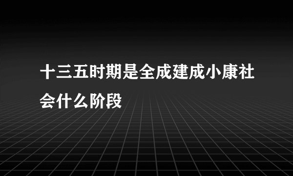 十三五时期是全成建成小康社会什么阶段