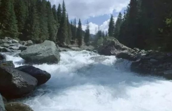 源的拼音和组词