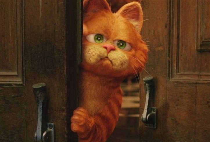 加菲猫晚安公主什么梗