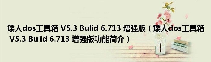 矮人dos工具箱V53Bulid6713增强版矮人dos工具箱V53Bulid6713增强版功能简介
