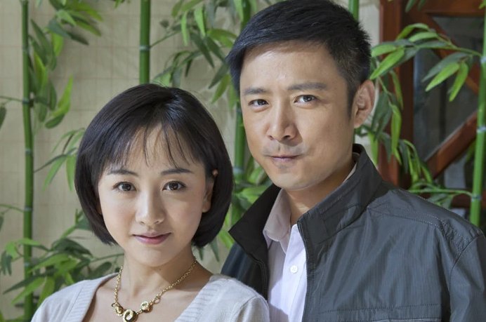 电视剧女婿难当大结局