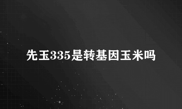 先玉335是转基因玉米吗