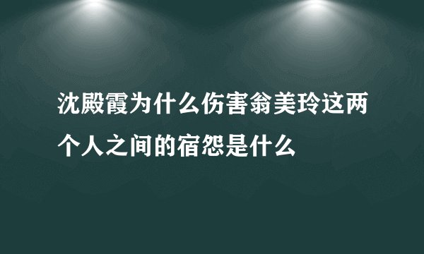 沈殿霞为什么伤害翁美玲这两个人之间的宿怨是什么