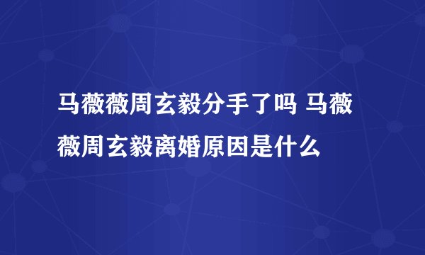 马薇薇周玄毅分手了吗 马薇薇周玄毅离婚原因是什么