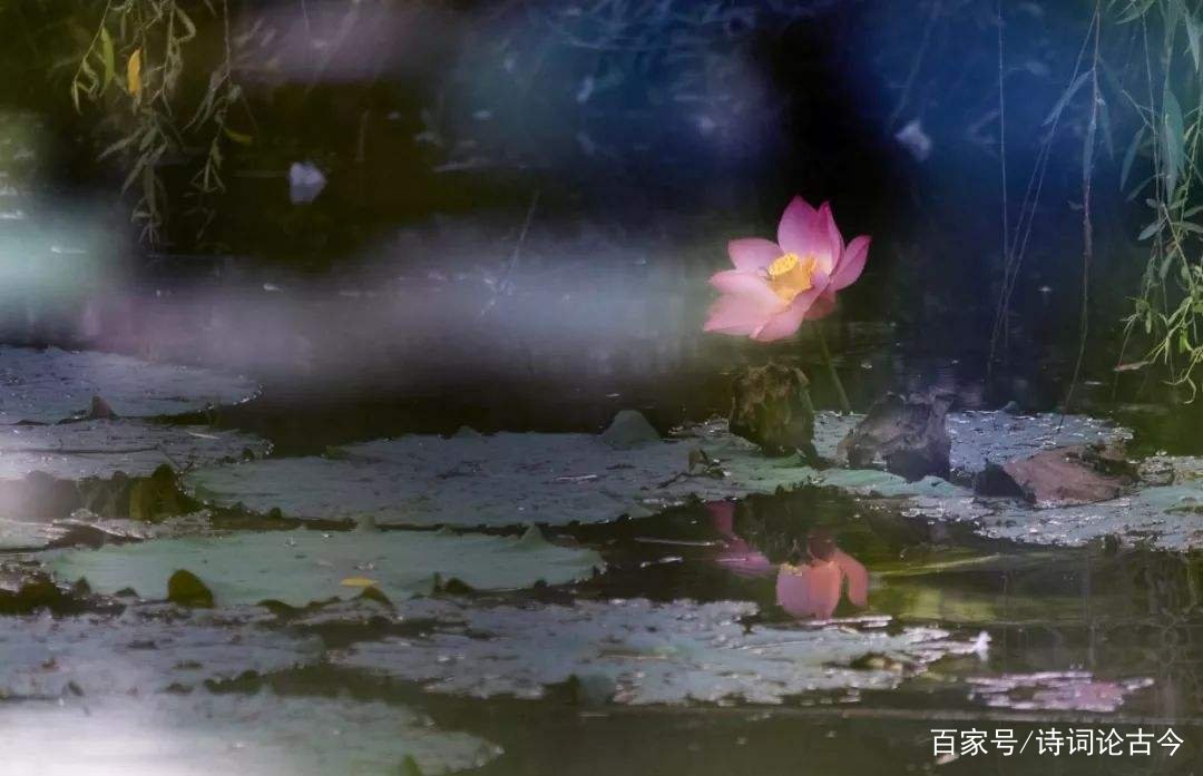 “问世间，情为何物？直教生死相许”不是写给人的吗？