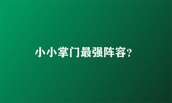 小小掌门最强阵容？