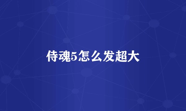 侍魂5怎么发超大