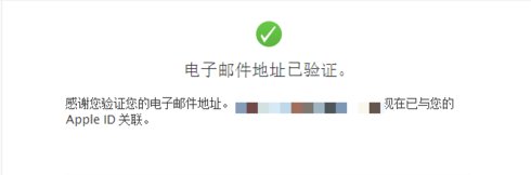 苹果手机id密码是什么格式?