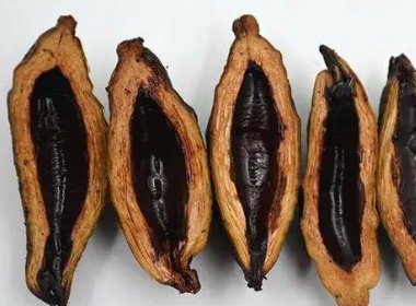 网友建议禁售槟榔，广东官方回应：已转相关部门阅研，是否应该禁售槟榔？