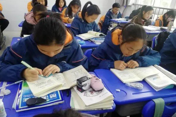 尼的拼音组词部首