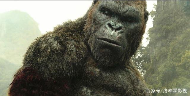 《哥斯拉》中的四大怪兽分别对战金刚,谁会输?谁会赢?