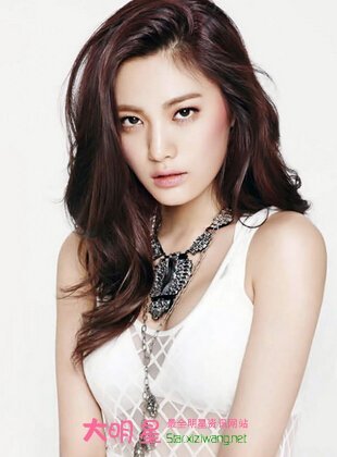 林珍雅的个人资料