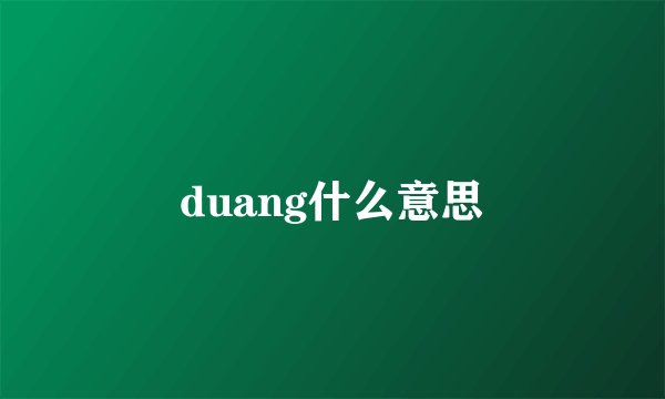 duang什么意思