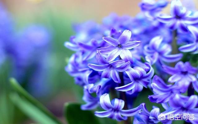 当你在18岁的时候，你做的最重要的一个选择是什么？