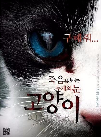 猫：看见死亡的双眼恐怖吗?讲下剧情！！！！