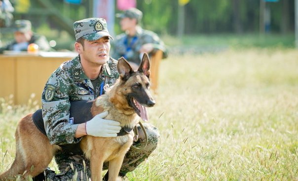 十部必看特种部队电视剧