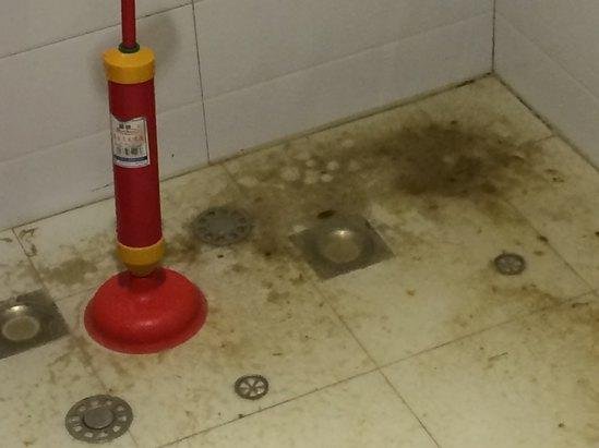 家里卫生间里有很多黑色的有两个翅膀的小虫子，据说是从下水道里飞出来的，请问怎么处理呢？