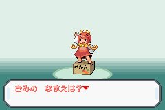 求绿宝石的493萌版，493就是指在原有的386上还添加了一些493中的怪物，怪物要都是萌版的哦。