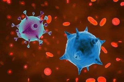 世卫称IHU毒株没有发生大规模传播，IHU毒株到底是什么？