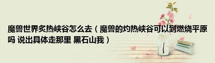 魔兽世界炙热峡谷怎么去魔兽的灼热峡谷可以到燃烧平原吗说出具体走那里黑石山我