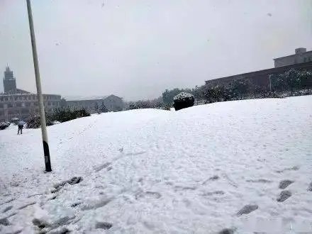 全国多地已悄然降下第一场雪，今年的雪为何会来的这么早？