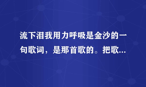 流下泪我用力呼吸是金沙的一句歌词，是那首歌的。把歌词全写下来，谢谢