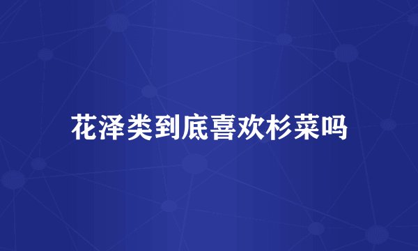 花泽类到底喜欢杉菜吗