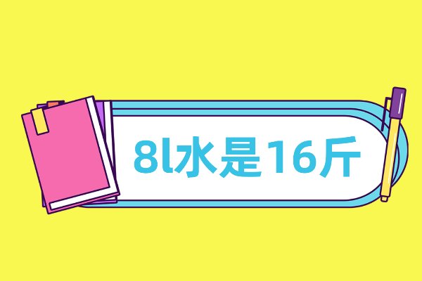 8l是多少斤