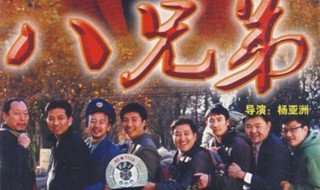 八兄弟电视剧简介 八兄弟电视剧相关介绍
