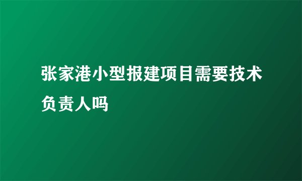 张家港小型报建项目需要技术负责人吗