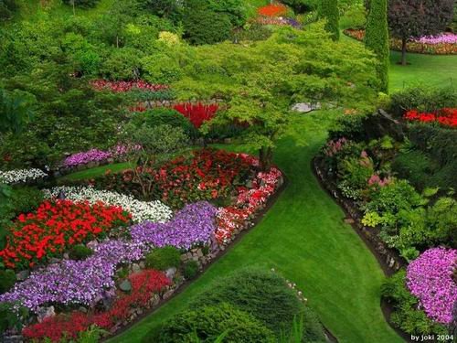 天上花园的介绍