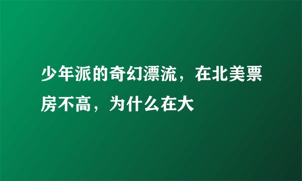少年派的奇幻漂流，在北美票房不高，为什么在大