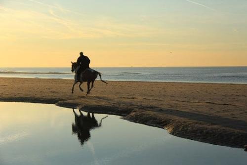 男子独自一人骑马从新疆伊犁回福建老家，是什么让他坚持到现在的？