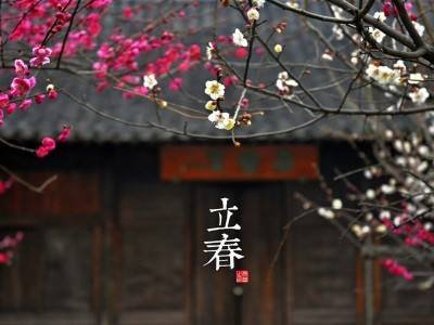 2019年立春是哪一天？