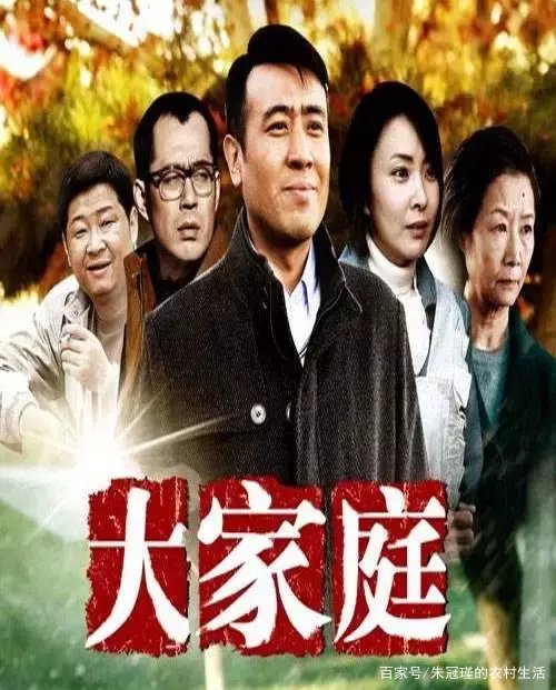 电视剧大家庭的大结局是什么