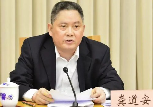 上海市公安局原局长龚道安被判无期，这究竟是啥情况？