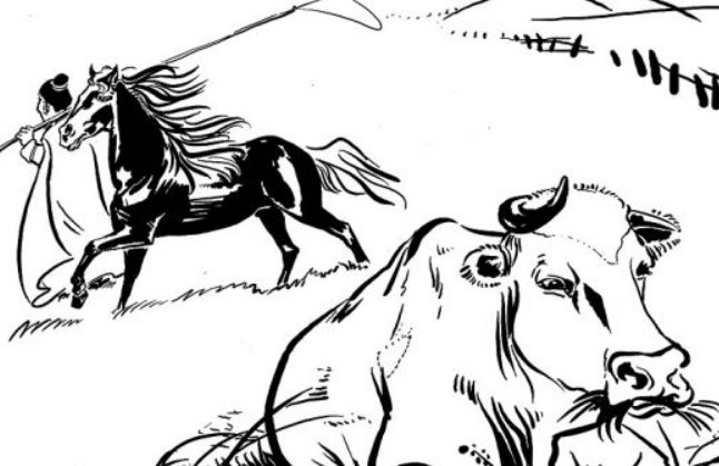 为什么人们都说牛头不对马嘴，那为什么牛头一定要对着马嘴呢？