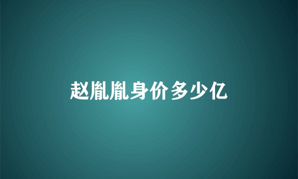 赵胤胤身价多少亿